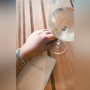 Gold passport  holder